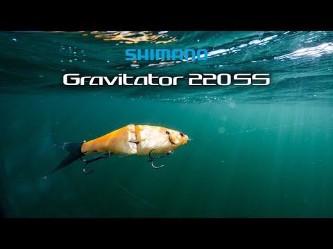 Shimano Gravit...