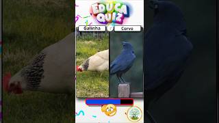 Quem Vive Mais? 🧠 Desafio Rápido de Animais! 🦩🦈🦅 #QuizCurioso