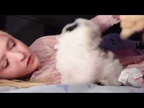 Routines❤ Play Something on Bed with the dog 😍 Beutiful girl