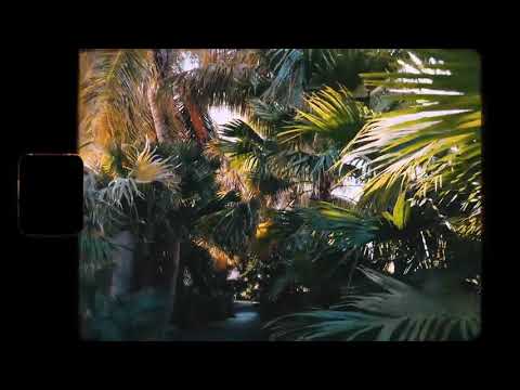 3RIN & Starla Edney - Cherry Baby (Official Video) STATUS