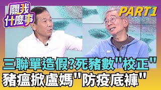 死豬也能校正回歸? 三聯單2版本? 塗改數字毀真相?黑數無聲擴散? 9／4就有病死豬.台中甩鍋中央沒警示?｜【關我什麼事PART1】陳斐娟 主持｜20251029 關我什麼事