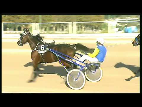 Trotto 30/10/2020 - 5ª corsa