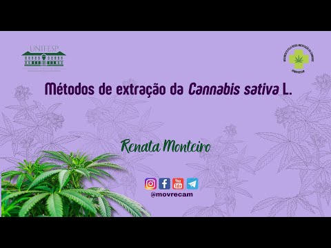 38ª Aula - Métodos de extração da Cannabis sativa L. - Renata Monteiro