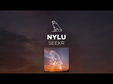 nylu - seekr