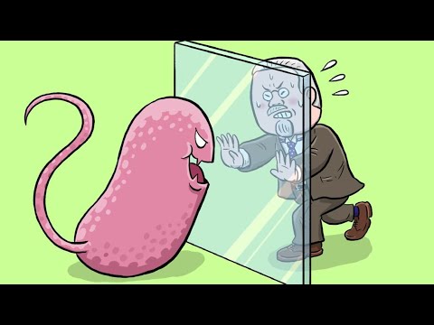 たろーさんに聞いてみよ_後藤新平篇