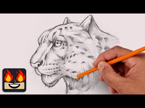 Cartooning Club XL and Cartooning Club How to Draw