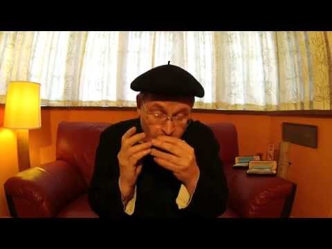 12 Hole SLIDE DIATONIC - New Model from Brendan Power