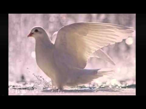 Listen to: Read the Bible in a Year, Day 274 (Matthew 1 - 4)