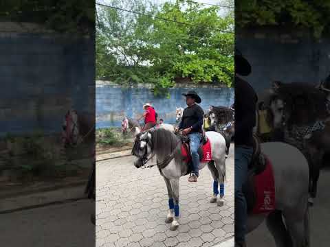 Fiestas patronales san alejo la unión