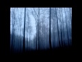 Bon Iver - Woods (Zeds Dead Remix) 