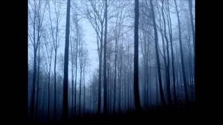 Bon Iver - Woods (Zeds Dead Remix)