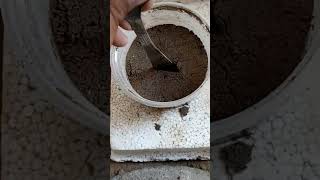 Download lagu bikin kue lagii #shorts video#mainan#kue#tanah# mp3