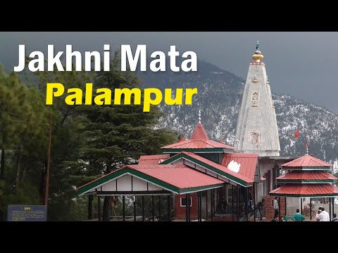 Videos from Baneetkumar1994