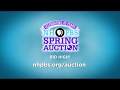 nhpbs auction memories