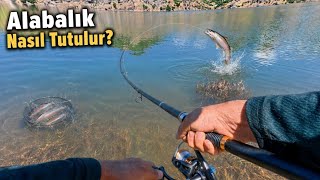 Aksiyon Dolu Alabalık Avı, Yeni Çıkan Alabalık Yemleri Mıknatıs Gibi, 