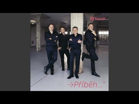 Zatmění (Total Eclipse of the Heart)