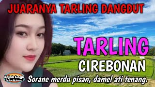 Download lagu SUARA MERDU | BASS EMPUK BANGET | TARLING DANGDUT,  Sorane merdu pisan, damel ati tenang. mp3