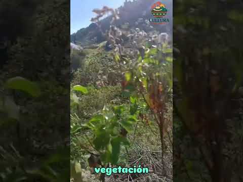 Paisajes de Socotá tierra del sol y la labranza. #Boyacá #turismo #campo