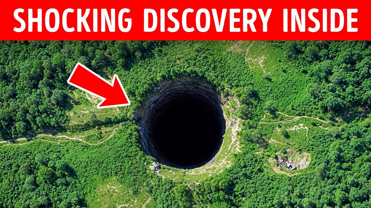 Scientists Found a World Lost for Millions of Years in a Giant Sinkhole