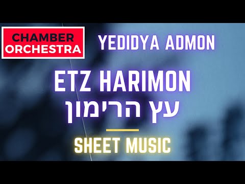 Etz Harimon עץ הרימון arr  for Chamber Orchestra by Ilan Chouraki