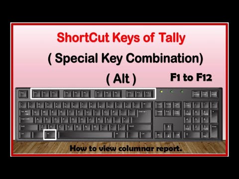 alt use in tally |tally shortcut keys| alt with function keys | F1 to F12 use with alt | Alt key |