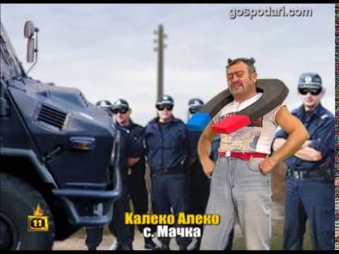 Калеко Алеко мачка битовата престъпност