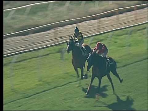 Galoppo 21/02/2017 - 5ª corsa