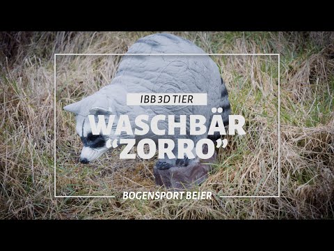 Waschbär Zorro - IBB 3D Tier von BOGENSPORT BEIER
