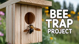 DIY Carpenter Bee Trap That Actually WORKS 🐝🐝🐝