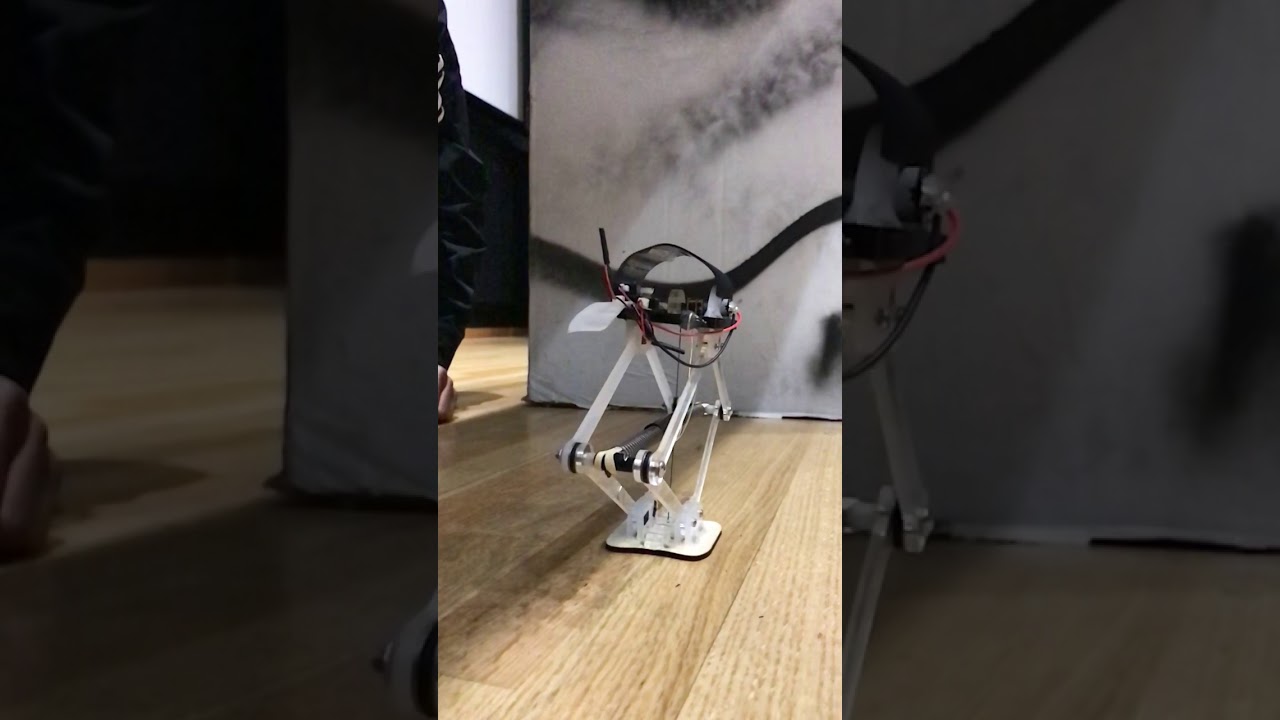Bio-Inspired Jumping Robot