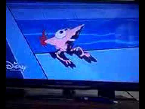 Phineas e Ferb - a câmera de Trânsito 🙂