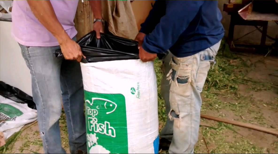 Produção de silagem em sacos plasticos