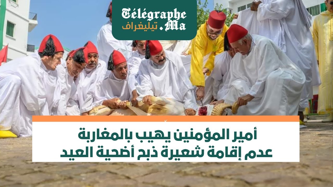 أمير المؤمنين يهيب بالمغاربة عدم إقامة شعيرة ذبح أضحية العيد هذه السنة