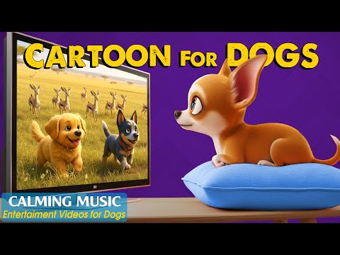 Dog Cartoon: All-Day Anti-Boredom Videos for Dogs when Home Alone - Dog TV with Relaxing Music
