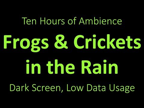Frogs and Crickets in the Rain - Ambient Sound - 10 Hours - Black Screen
