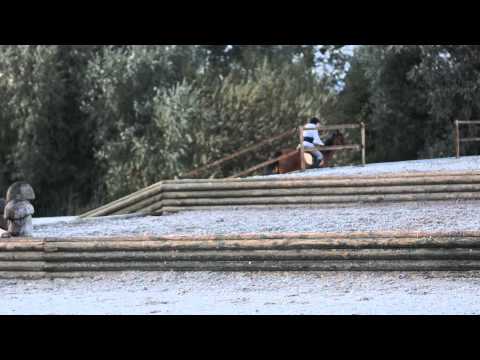 Geländetraining Avenches mit Balikh 2012