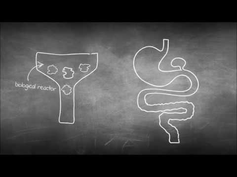 Enteron Sewage Treatment