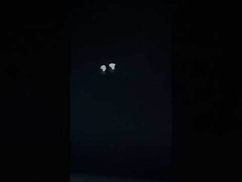 YouTube 썸네일
