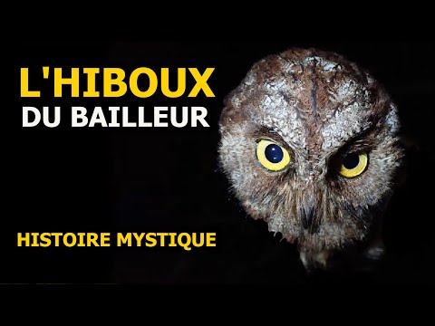 L'HIBOUX  DU BAILLEUR ... HISTOIRE MYSTIQUE - DMG TV
