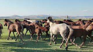 BAŞKAN BÜYÜKKILIÇ HÜRMETÇİ’DE “BURASI HUZURUN VE DOĞANIN ADRESİ”
