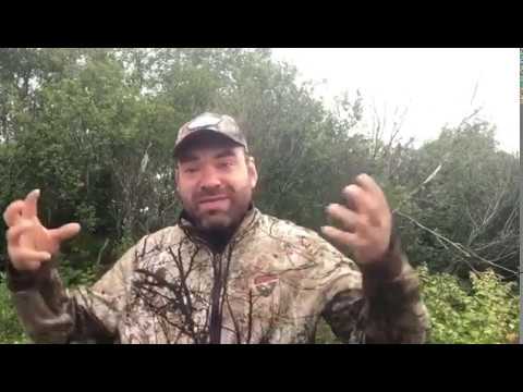 La base du langage chez l'orignal!