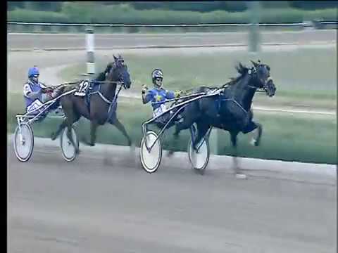 Trotto 24/06/2017 - 1ª corsa