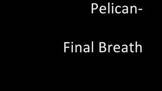 Pelican- Final Breath
