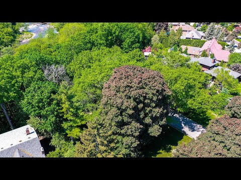 5306 Drenkelly Court, Mississauga Home for Sale - Real Estate Properties for Sale