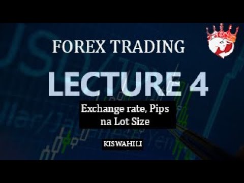 Lecture 4   Exchange rate, PIPS and LOT SIZES || FOREX TANZANIA KISWAHILI