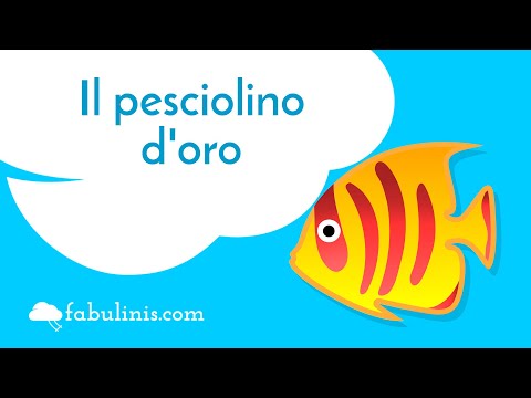Il pesciolino d'oro 🐠 favole per bambini raccontate