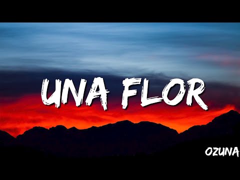 Una Flor - Ozuna ( Letra/ Lyrics )