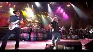 Lynyrd Skynyrd - That&#39;s How I Like It