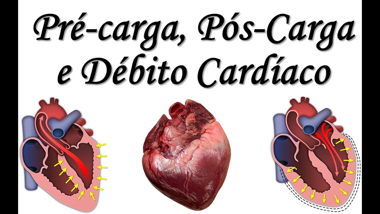 Pré-carga, Pós-carga e Débito Cardíaco - Conceitos em Fisiologia Cardiovascular