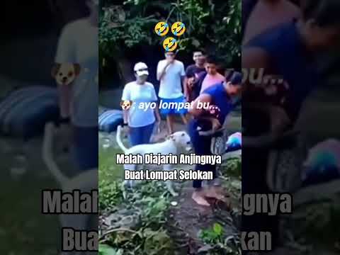 Anjing Ajarkan Ras Terkuat Melompat #shorts